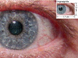Farbdruck PCL6 Glanzmodus: Auge (siehe Bild oben, kleines Auge in Bildmitte) in rund 18facher Vergrößerung.