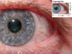 Farbdruck PS3 Glanzmodus: Auge (siehe Bild oben, kleines Auge in Bildmitte) in rund 18facher Vergrößerung.