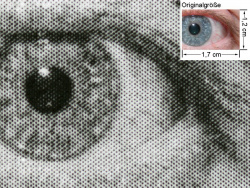 KPDL-Treiber: Auge (siehe Bild oben, kleines Auge in Bildmitte) in rund 18facher Vergrößerung.