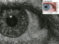 KX-Treiber: Auge (siehe Bild oben, kleines Auge in Bildmitte) in rund 18facher Vergrößerung.