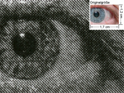 Mini-Treiber: Auge (siehe Bild oben, kleines Auge in Bildmitte) in rund 18facher Vergrößerung.