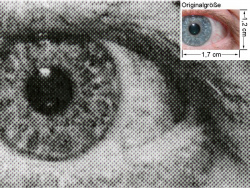 FS-4020DN, KPDL-Treiber: Auge (siehe Bild oben, kleines Auge in Bildmitte) in rund 18facher Vergrößerung.