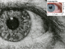 FS-4020DN, KX-Treiber: Auge (siehe Bild oben, kleines Auge in Bildmitte) in rund 18facher Vergrößerung.