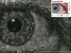Kyocera FS-920: Auge.
