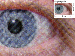FS-C5020N Auge: (siehe Bild ganz oben, kleines Auge in Bildmitte) in rund 18facher Vergrößerung.