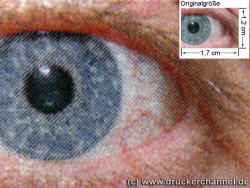 FS-C5030N Auge: (siehe Bild ganz oben, kleines Auge in Bildmitte) in rund 18facher Vergrößerung.