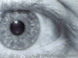 Lexmark P315: Auge (SW)