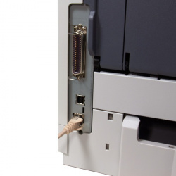 Gut angeschlossen: Oben Parallelport, Mitte USB, unten Netzwerk.