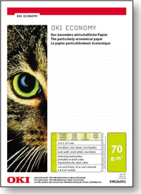 Oki Banner Workshop Panorama Oki-Medien Economy-Papier