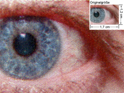 Oki C5600n: Auge (siehe Bild oben, kleines Auge in Bildmitte) in rund 18facher Vergrößerung.