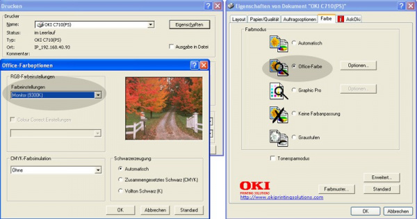 Soll Farbdruck verbessern: "Office Farbe" und "Monitor 9300 K" einstellen.
