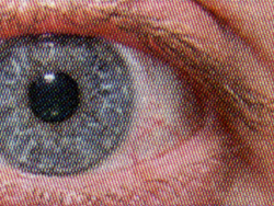 Oki MC760dnfax: Gute Detailwiedergabe in der Iris des Auges.