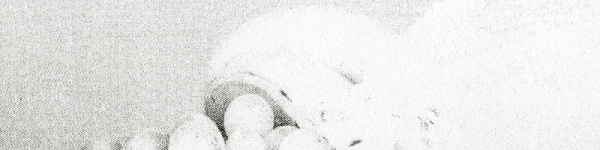 Pantum M6500W Pro: Durch den viel zu hellen Druck ist auf der Kopie nicht mehr viel zu erkennen.