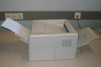 Papierführung