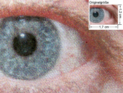 PCL5c: Auge (siehe Bild oben, kleines Auge in Bildmitte) in rund 18facher Vergrößerung.