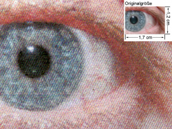 PCL6: Auge (siehe Bild oben, kleines Auge in Bildmitte) in rund 18facher Vergrößerung.