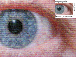 Fotodruck: Auge mit dem PCL5c-Treiber, Normalpapier.