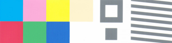 Ricoh SG 3110SFNw: Falsche Farben.