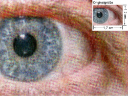 PCL6-Treiber: Auge (siehe Bild oben, kleines Auge in Bildmitte) in rund 18facher Vergrößerung.