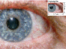RPCS-Treiber: Auge (siehe Bild oben, kleines Auge in Bildmitte) in rund 18facher Vergrößerung.