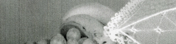 Ricoh SP 213SFNw: Grobes Raster aber Details sind vorhanden.