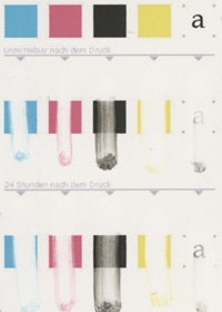 Rohlingtest: Epson R800 - Smear - Seiko Weiss CD