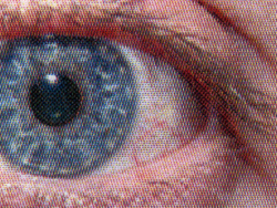 Auge: Beste Qualität.