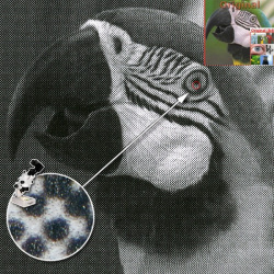 Samsung ML-1630: Druckt etwas zu dunkel.