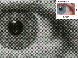 Auge (siehe Bild oben, kleines Auge in Bildmitte) in rund 18facher Vergrößerung. Postscript 3, 2 Minuten, 23 Sekunden.