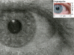 Auge (siehe Bild oben, kleines Auge in Bildmitte) in rund 18facher Vergrößerung. PCL6, 32 Sekunden.