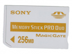 Memory Stick Duo. Leider schluckt die DSC-W1 als Speichermedium nur teure Memory Sticks oder Memory Sticks Duo.