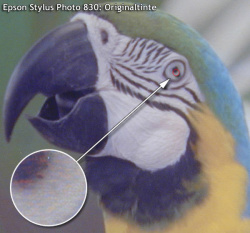 Beispiel Fotodruck: Beim Fotodruck können sich starke Farbunterschiede zeigen...