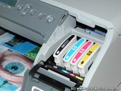 Tintenpatronen: Im Drucker stecken vier separate Patronen.