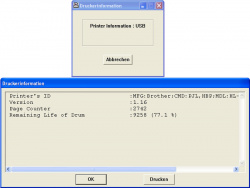 Stand der Dinge: Abrufen über 'Programme-Brother HL-2030-Druckerinformation'.