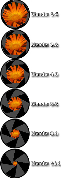 Workshop Photoshop Blende