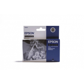 Epson T0331