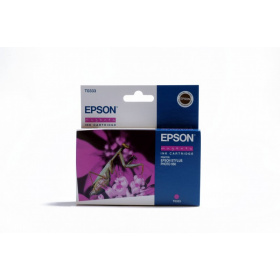 Epson T0343
