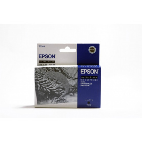 Epson T0348