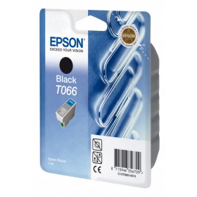 Epson T066