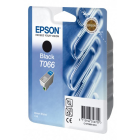 Epson T066