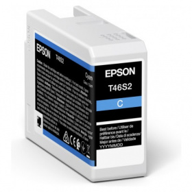 Epson T46S2